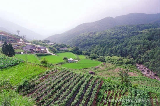 korean image