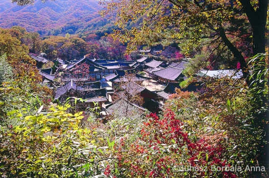 korean image