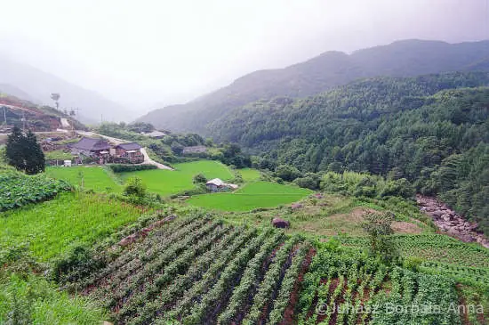 korean image